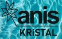 Anis Kristal